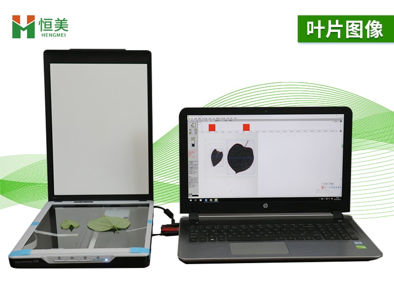 叶片图像分析仪