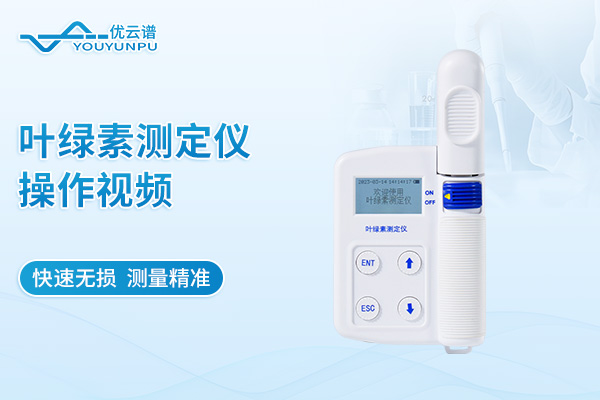 叶绿素仪操作视频