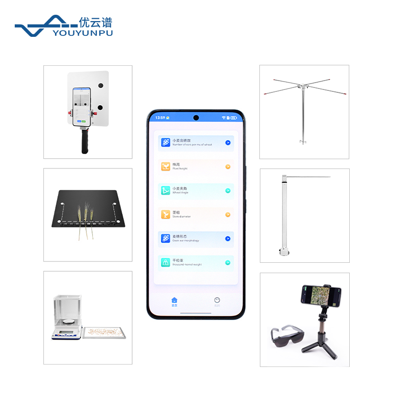 麦穗形态测量仪：基于AI视觉的作物表型智能测量工具